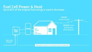 BlueGen takes the burn out of energy bills 